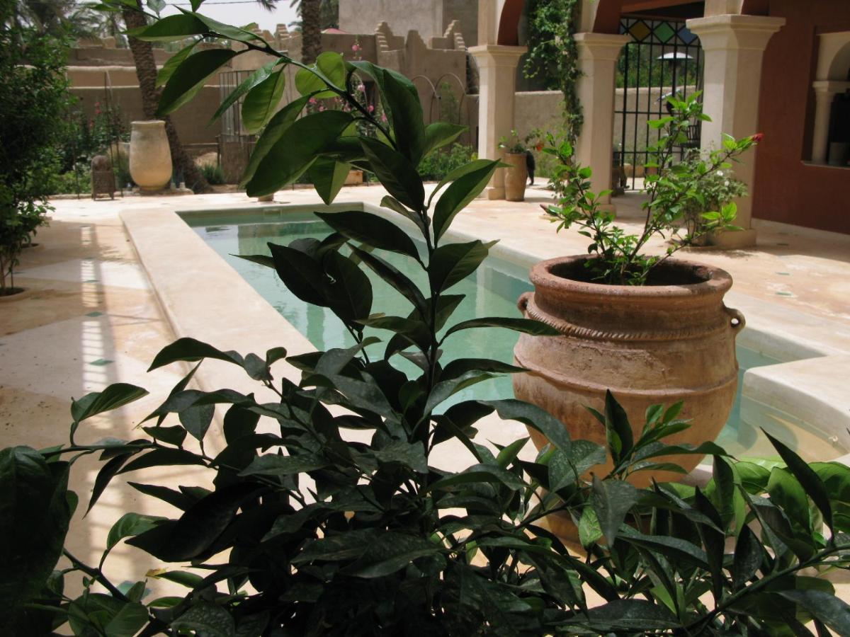 Riad Chant D'Etoiles Tadighoust El Hara Exterior foto