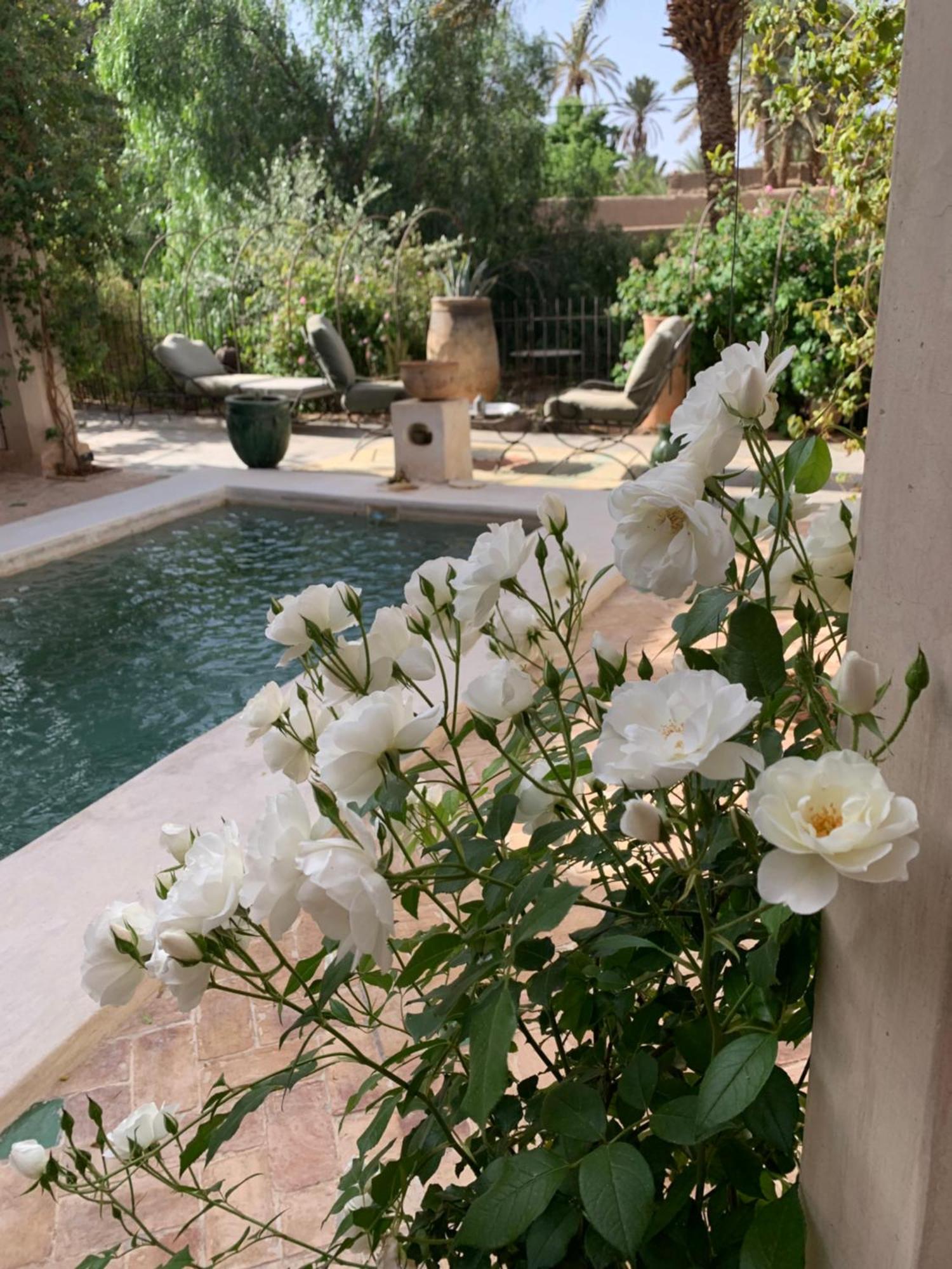 Riad Chant D'Etoiles Tadighoust El Hara Exterior foto