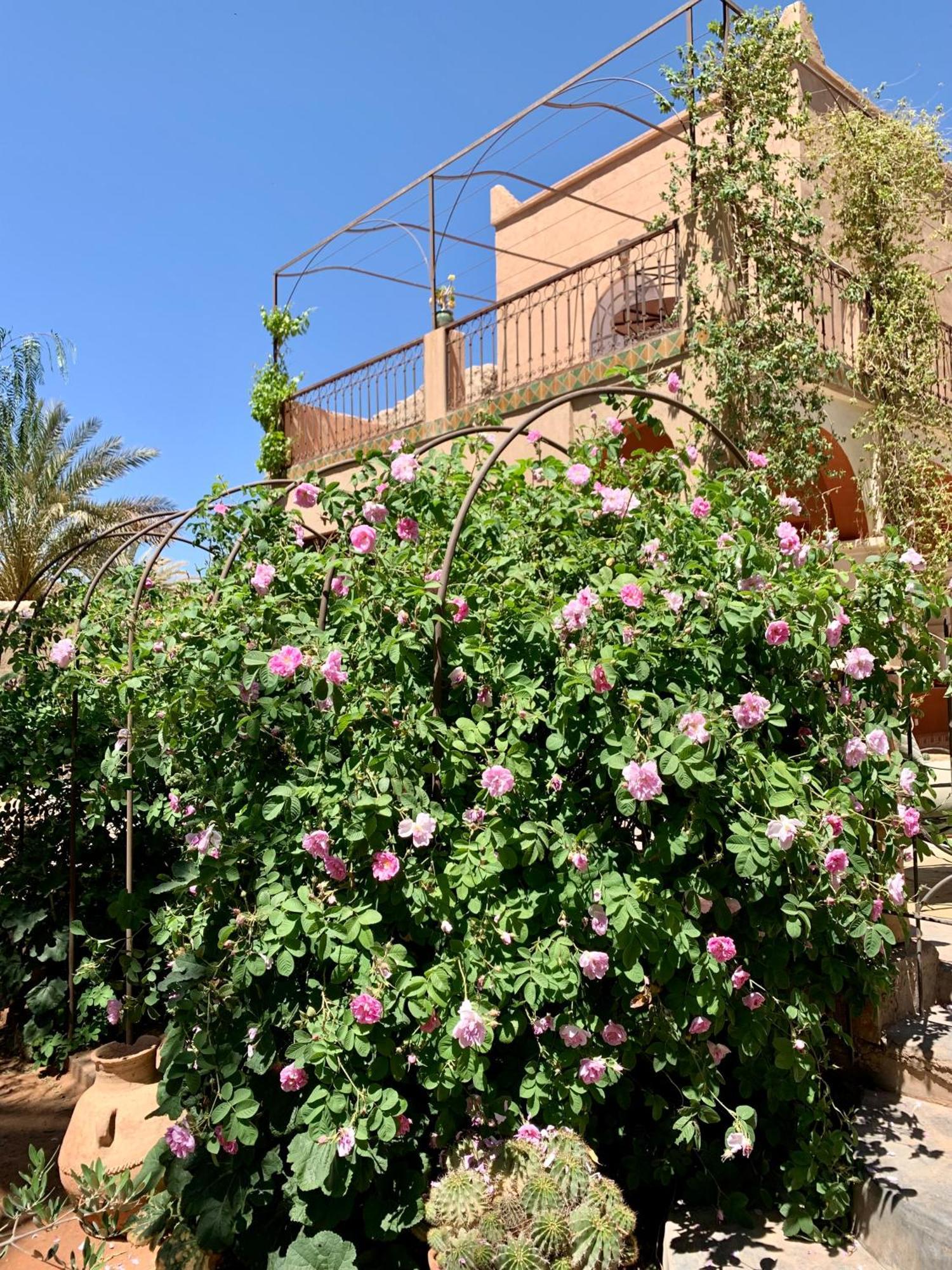 Riad Chant D'Etoiles Tadighoust El Hara Exterior foto