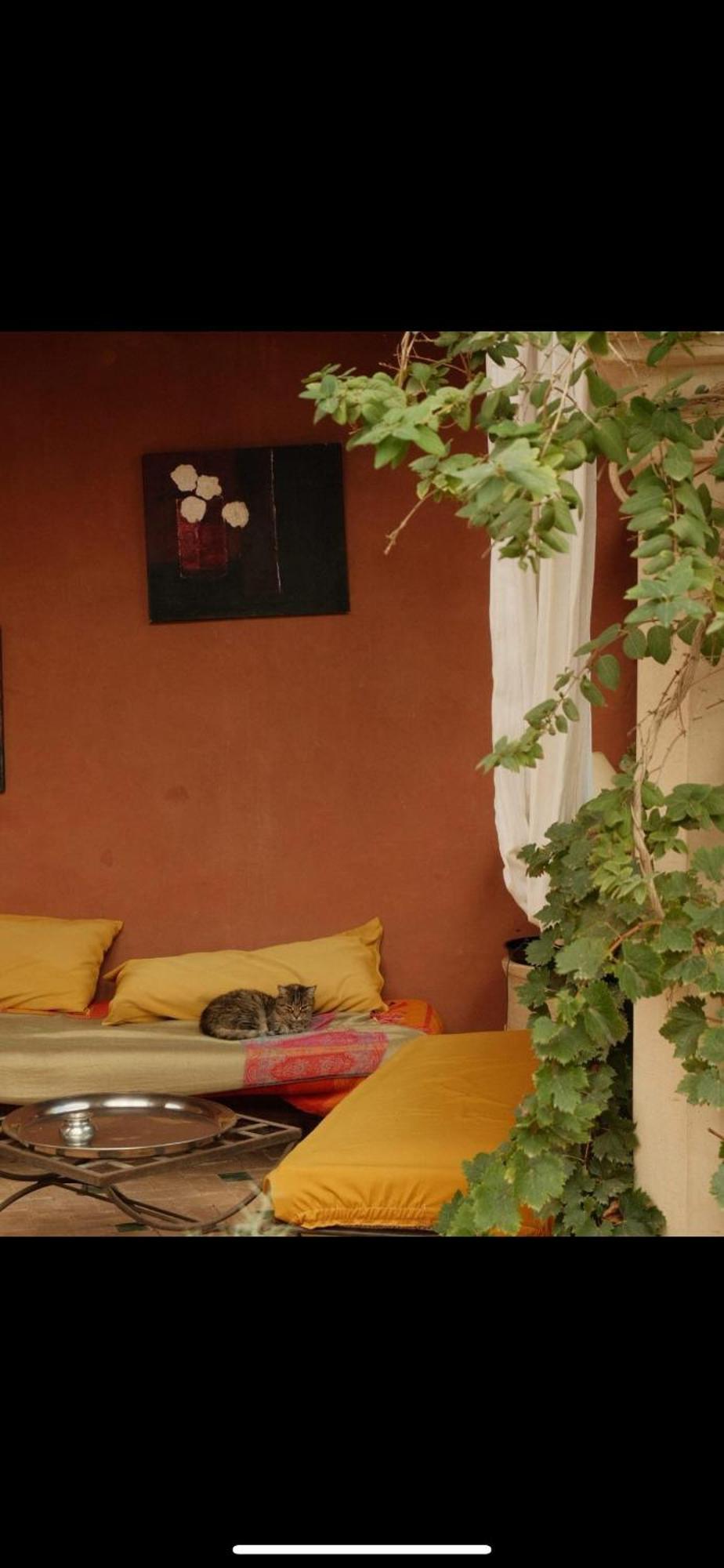 Riad Chant D'Etoiles Tadighoust El Hara Exterior foto